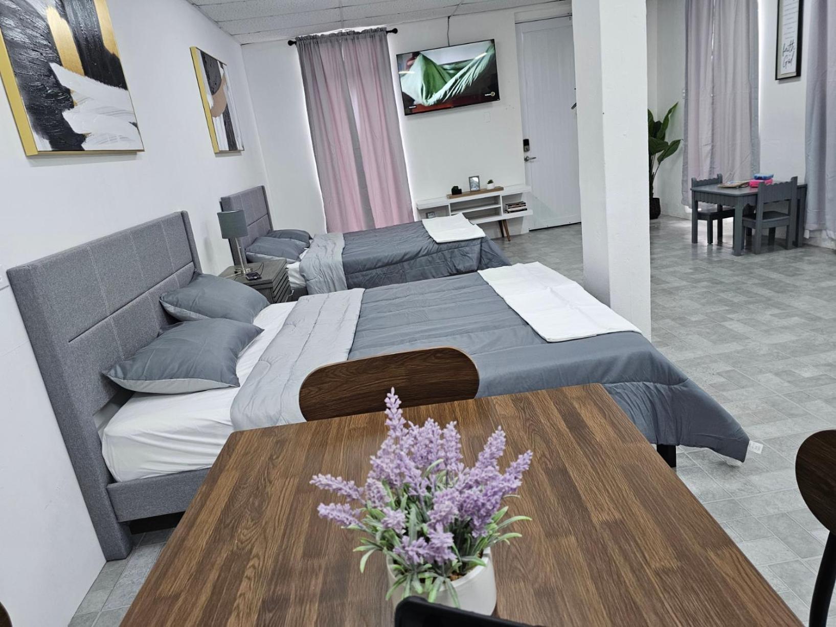 Salmos 23 Acogedor Apartamento Estudio Ceiba Exterior photo